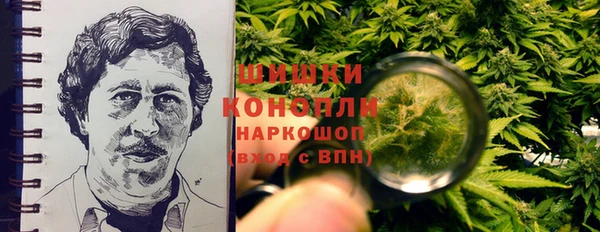 СК Абинск