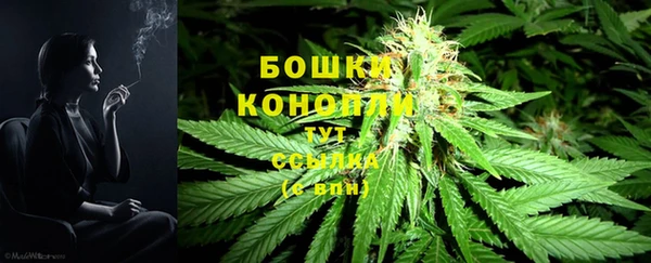 СК Абинск
