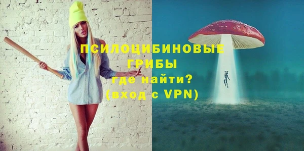 СК Абинск